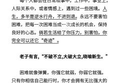 包含挑战：重重困难遭遇，谁将力挽狂澜？的词条